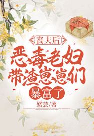 丧夫后,恶毒老妇带渣崽崽们暴富了