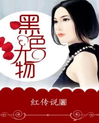 [综漫] 在横滨创业的365天