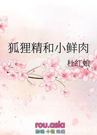 重回八零当军嫂，被纯情硬汉宠上天