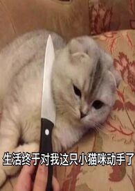 钓系绿茶穿成万人嫌后