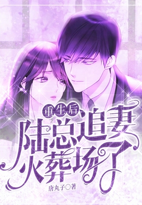 重生后,陆总追妻火葬场了